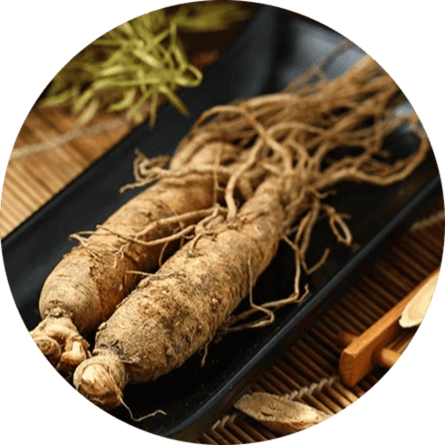 Panax Ginseng for Mental Energy